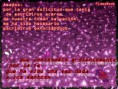 /album/fotogaleria-inicio/images-15-jpg/